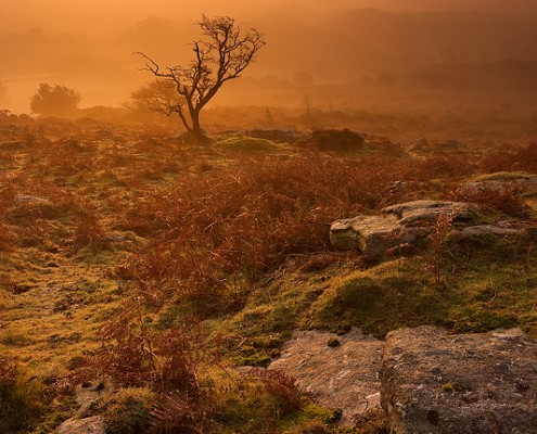 Dartmoor; National Park; Devon; photography