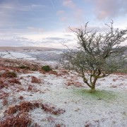Dartmoor National Park; Devon; photography