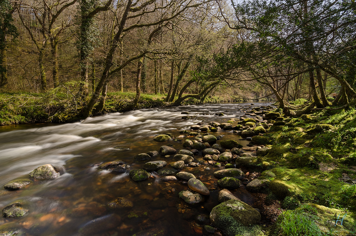Dartmoor National Park; Devon; photography